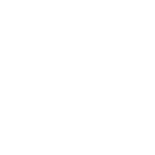 Beratung per Facetime zu Frauenthemen